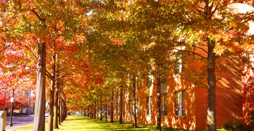 Kennedy Hall - Northeastern University Housing and Residential Life